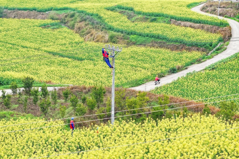 电助春耕万象新