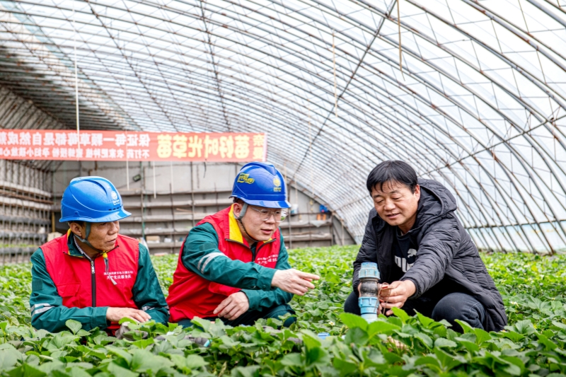 电助春耕万象新