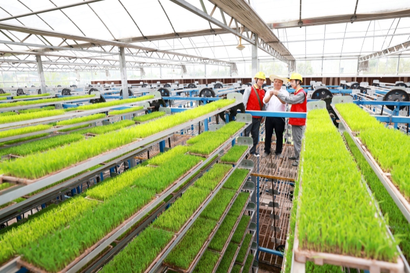 电助春耕万象新