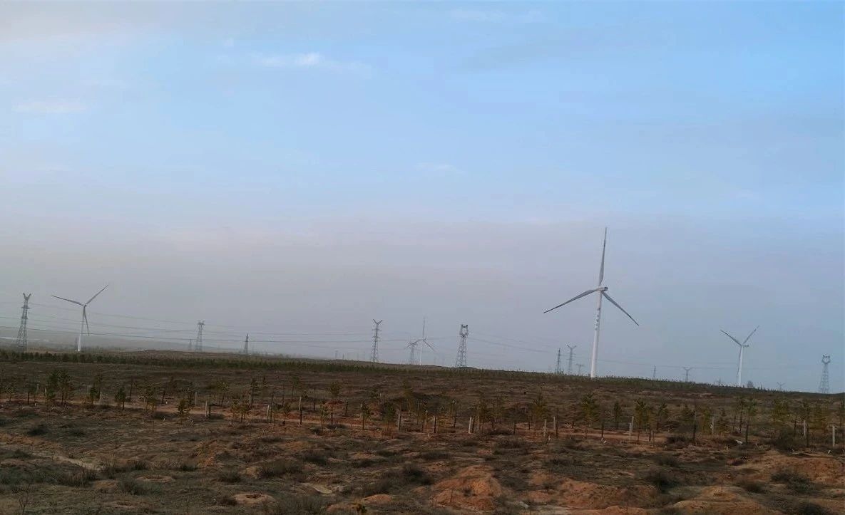 微信图片_20250421094043.jpg