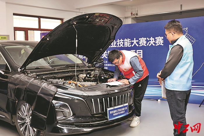 3235693_tpzz_1764051471849_b